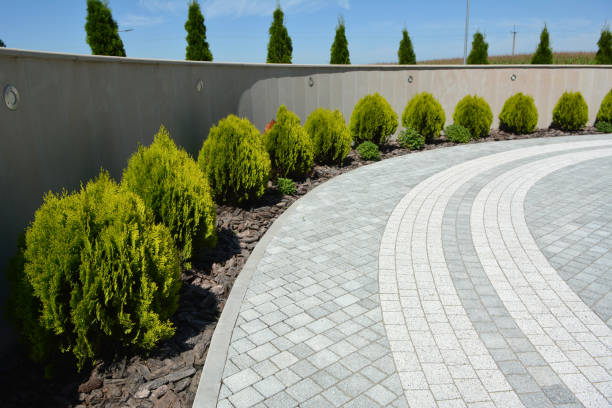 Best Commercial Driveway Pavers  in Seis Lagos, TX
